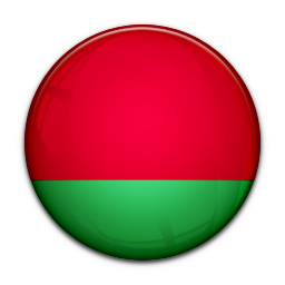 Flag Of Belarus Icon 256x256 png